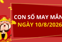 Con số may mắn hôm nay 10/8/2026 theo từng tuổi: Chọn số đổi vận chi tiết nhất
