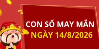 Con số may mắn hôm nay 14/8/2026 theo từng tuổi: Xem số vàng hợp tuổi bạn