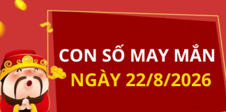 Con số may mắn hôm nay 22/8/2026 theo từng tuổi: Số may đón lộc trời ban
