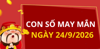 Con số may mắn hôm nay 24/9/2026 theo từng tuổi: Chọn số cát đổi vận tức thì