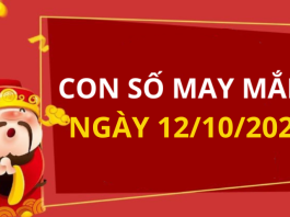 Con số may mắn hôm nay 12/10/2026 theo từng tuổi: Số cát giúp bạn đổi đời