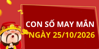 Con số may mắn hôm nay 25/10/2026 theo từng tuổi: Xem số tốt giúp bạn dễ đón lộc
